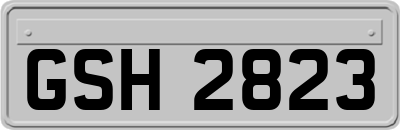 GSH2823