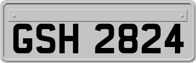 GSH2824