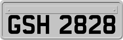 GSH2828