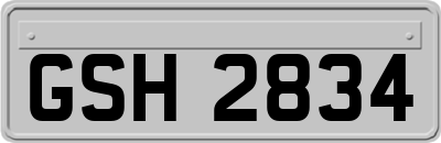 GSH2834