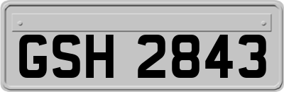 GSH2843