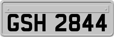 GSH2844