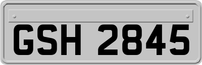 GSH2845