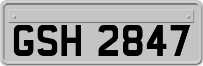 GSH2847