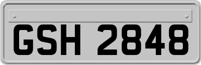 GSH2848