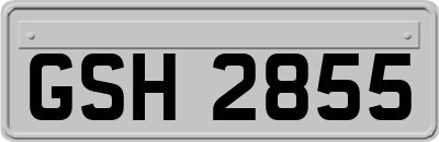 GSH2855