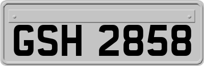 GSH2858