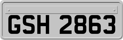 GSH2863