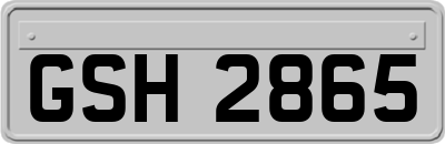 GSH2865