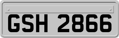 GSH2866