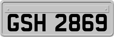 GSH2869