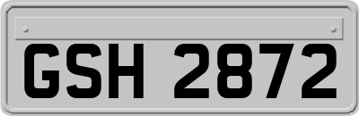 GSH2872