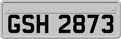 GSH2873