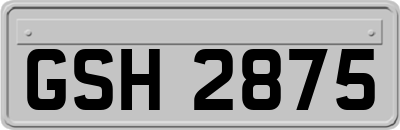 GSH2875