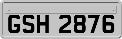 GSH2876
