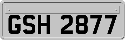 GSH2877
