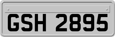GSH2895