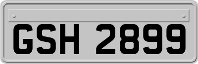 GSH2899
