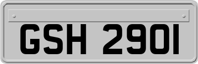 GSH2901