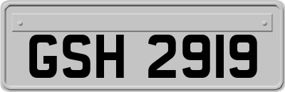 GSH2919