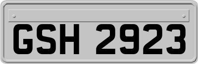 GSH2923