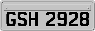 GSH2928