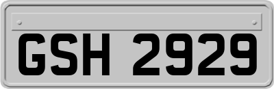 GSH2929