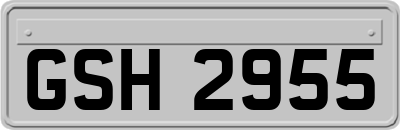 GSH2955