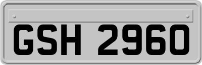 GSH2960