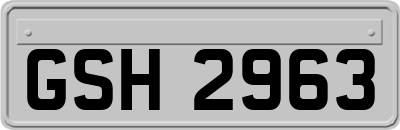 GSH2963