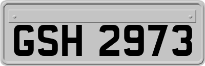GSH2973