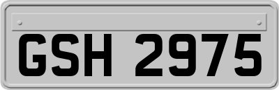 GSH2975