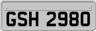 GSH2980