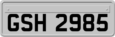GSH2985