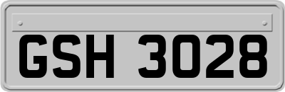 GSH3028