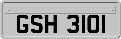 GSH3101