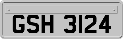 GSH3124
