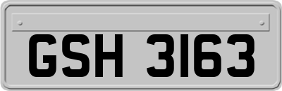 GSH3163