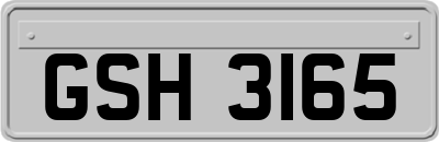 GSH3165