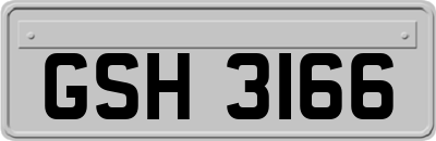 GSH3166