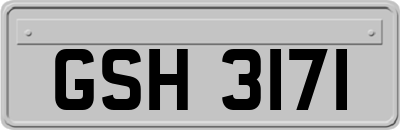 GSH3171