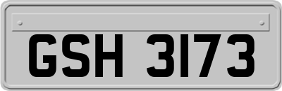 GSH3173