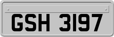 GSH3197