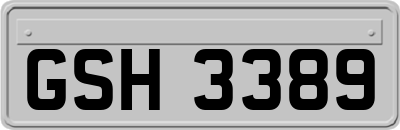 GSH3389