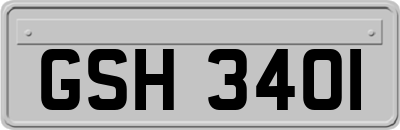 GSH3401