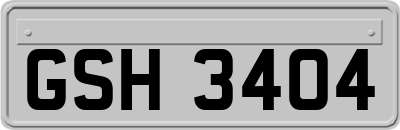 GSH3404