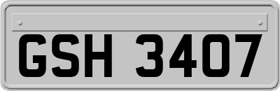 GSH3407