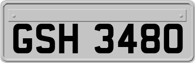 GSH3480