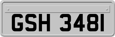 GSH3481