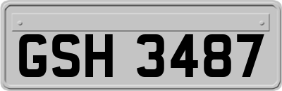 GSH3487